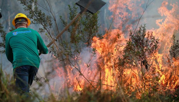 Foto: Gabrielly Pontes/CGE IAT alcança 1.485 voluntários com formação de nova turma de brigadistas